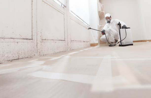 24/7 Emergency Attic Mold Removal experts in Burlington, MA
