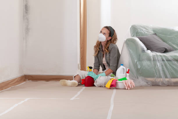 Reliable Mold Remediation contractor in Burlington, MA by Cheap Mold Removal
